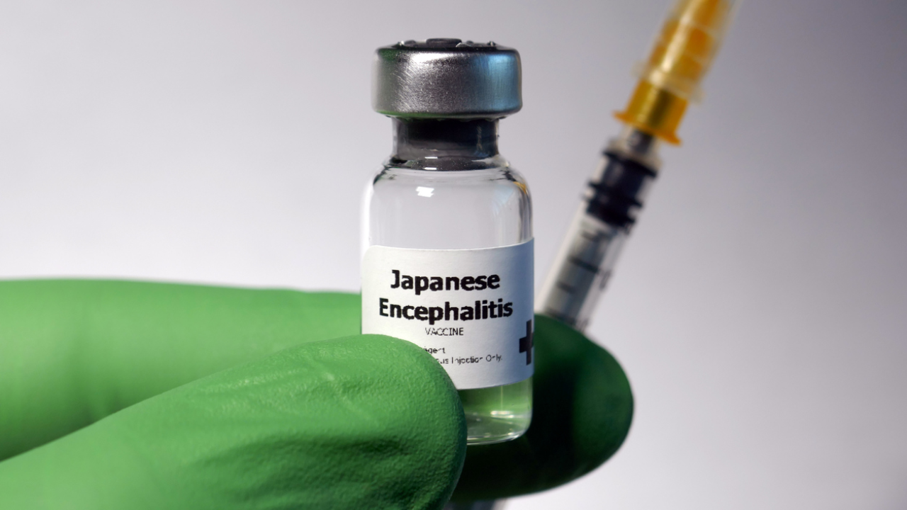 travel vaccinations japanese encephalitis