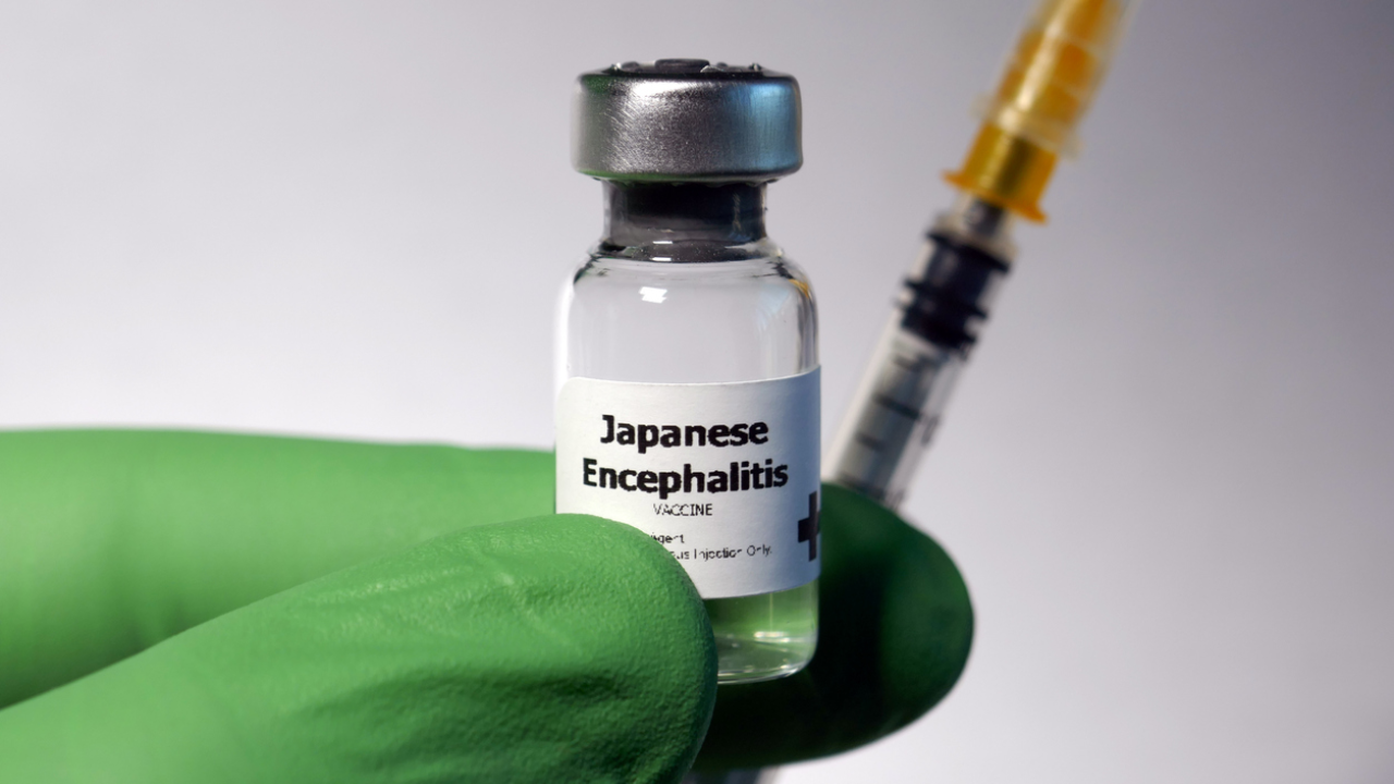 Types Of Japanese Encephalitis Vaccine